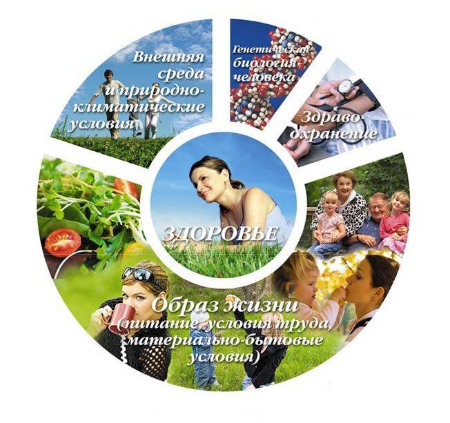 Основы профилактики | ЦК ПРОФСТАНДАРТ